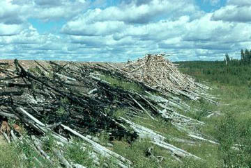 Between Edmonton and the Rockies / Entre Edmonton et les Rocheuses