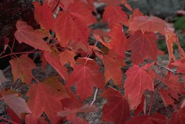 In/En Ontario