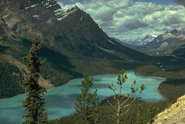 Lac Peyto Lake