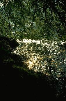 Stourhead