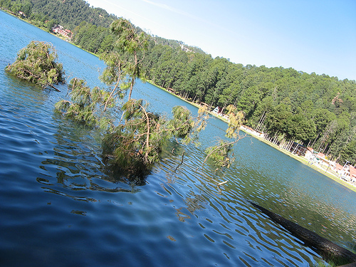 Laguna Larga