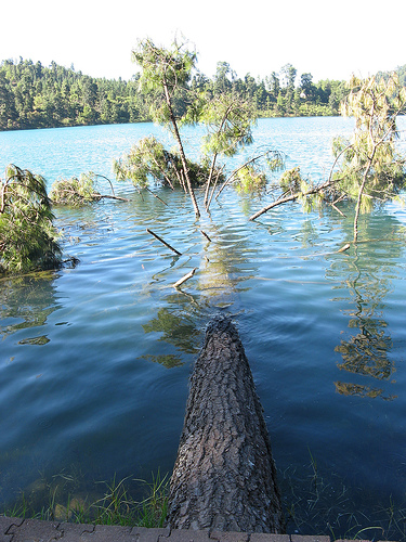 Laguna Larga