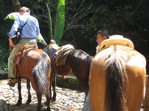 Descending to the Río Cupatitzio falls