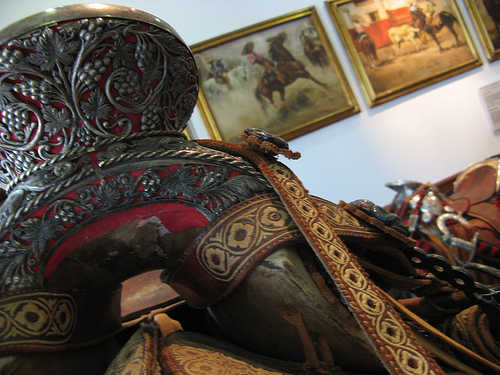 Detail of saddle