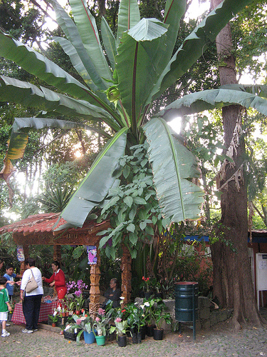 Parque nacional Eduardo Ruíz