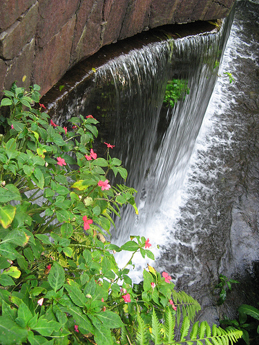 Parque nacional Eduardo Ruíz