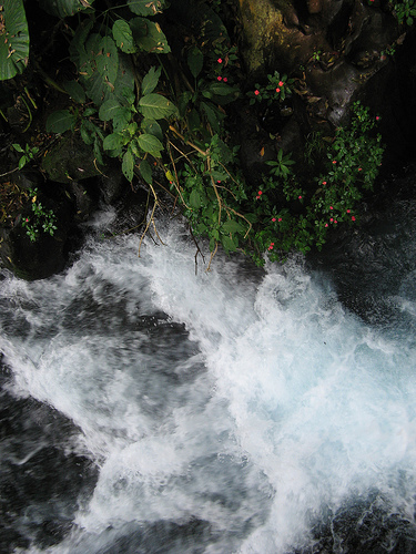 Parque nacional Eduardo Ruíz