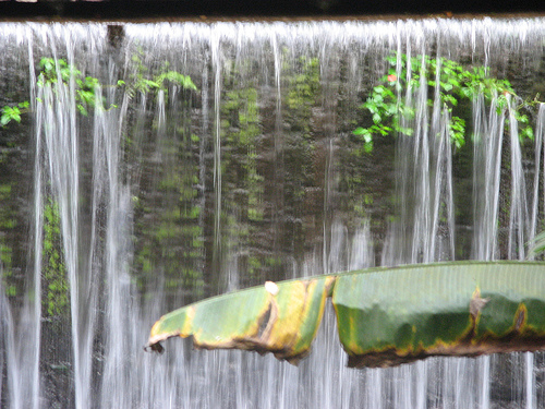 Parque nacional Eduardo Ruíz