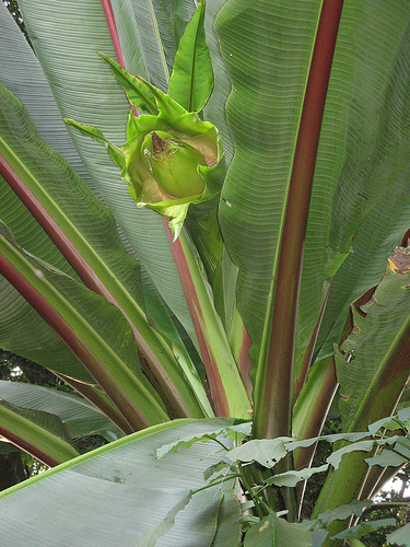 Parque nacional Eduardo Ruíz