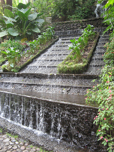 Parque nacional Eduardo Ruíz