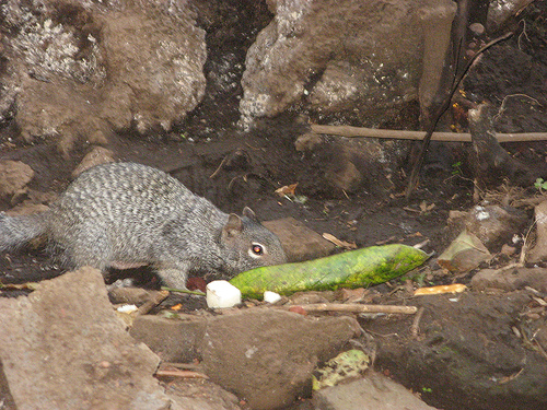 Parque nacional Eduardo Ruíz