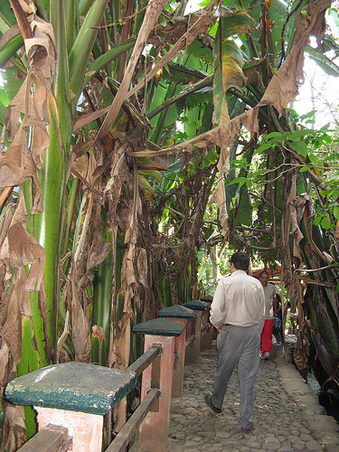 Octavio at the Parque nacional Eduardo Ruíz