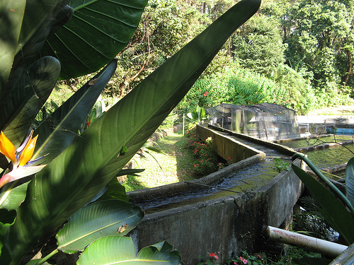 Parque nacional Eduardo Ruíz