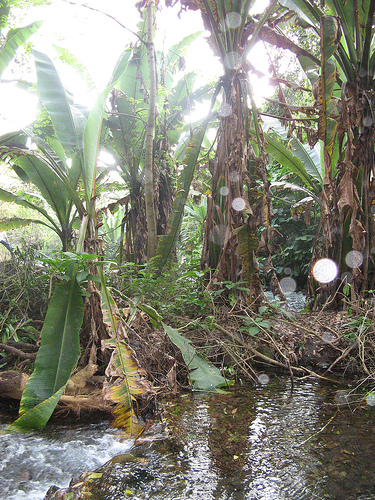 Parque nacional Eduardo Ruíz