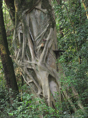 Parque nacional Eduardo Ruíz